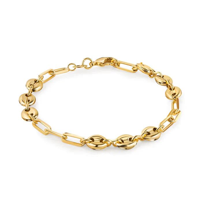 RMZ GOLD NYC 18K Gold Mariner and Paperclip Link Bracelet, 8 Inches
