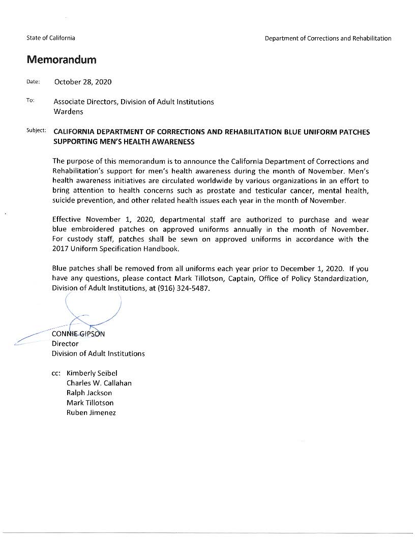 Blue Ribbon<br> Hash Mark Patch by Custom Pins & Buckles