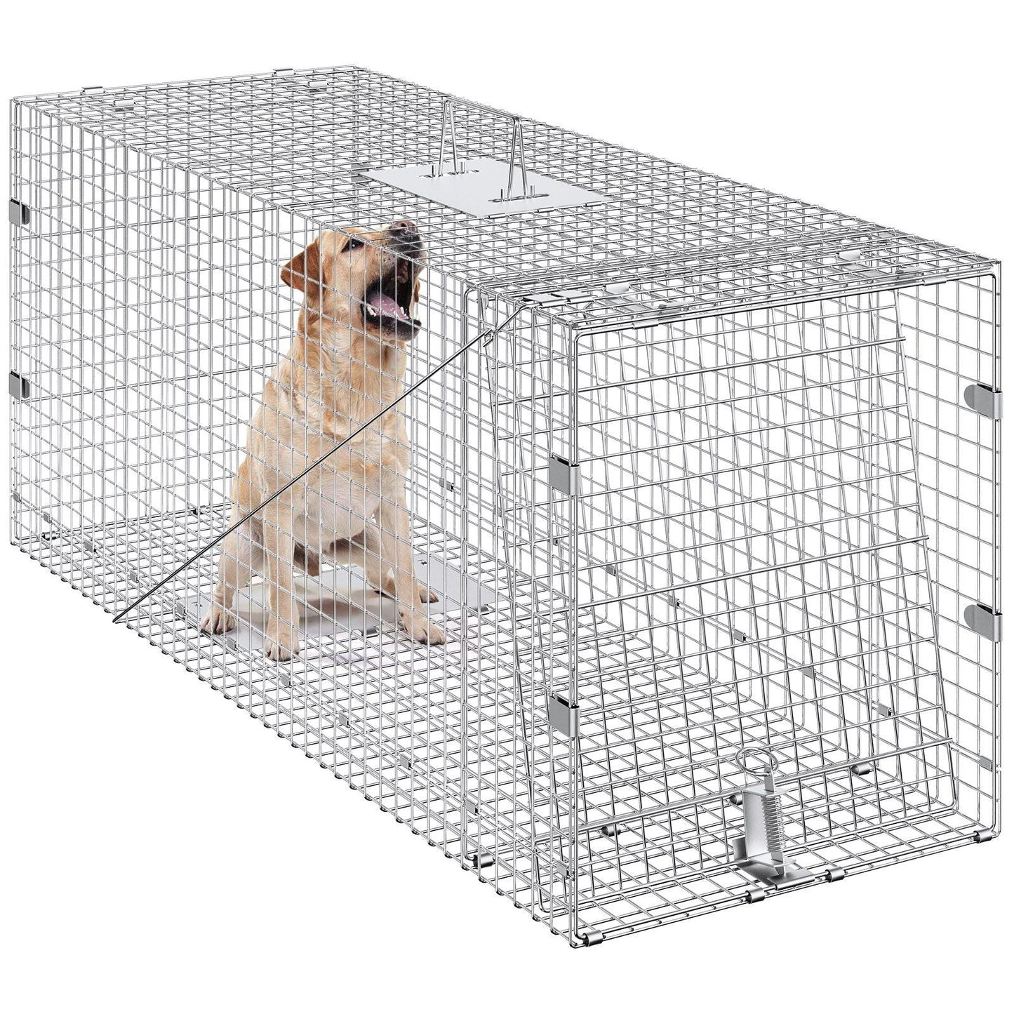 Live Animal Cage Trap, 50" x 20" x 26" Humane Cat Trap Galvanized Iron, Folding Animal Trap with Handle for Stray Dogs, Armadillos, Raccoons, Marmots, Foxes