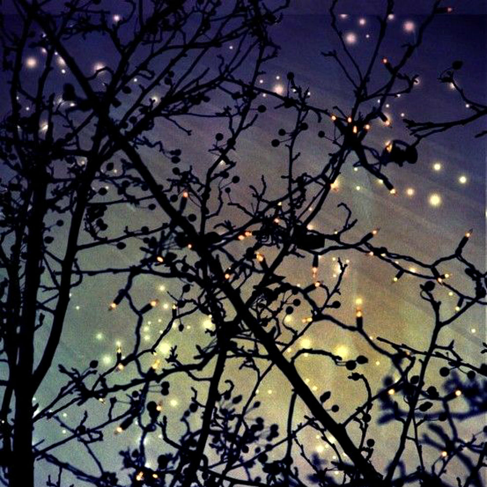 Firefly by Wicked Good Perfume