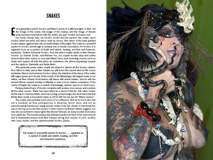 Justice Howard's Voodoo by Schiffer Publishing