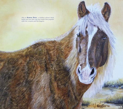 Chincoteague Ponies by Schiffer Publishing