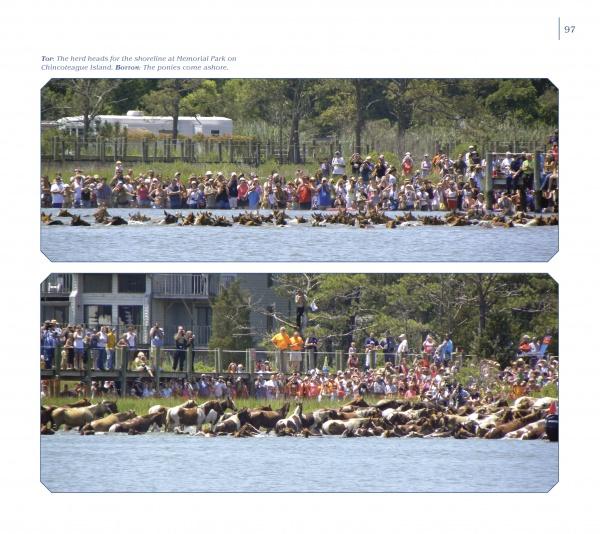 Chincoteague Ponies by Schiffer Publishing