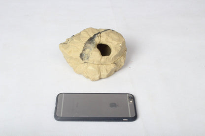 Rock Hideaway: The Ultimate Reptile Sanctuary by Dog Hugs Cat