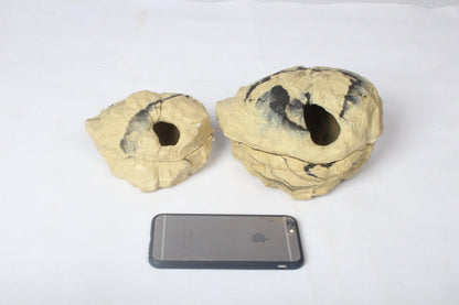 Rock Hideaway: The Ultimate Reptile Sanctuary by Dog Hugs Cat