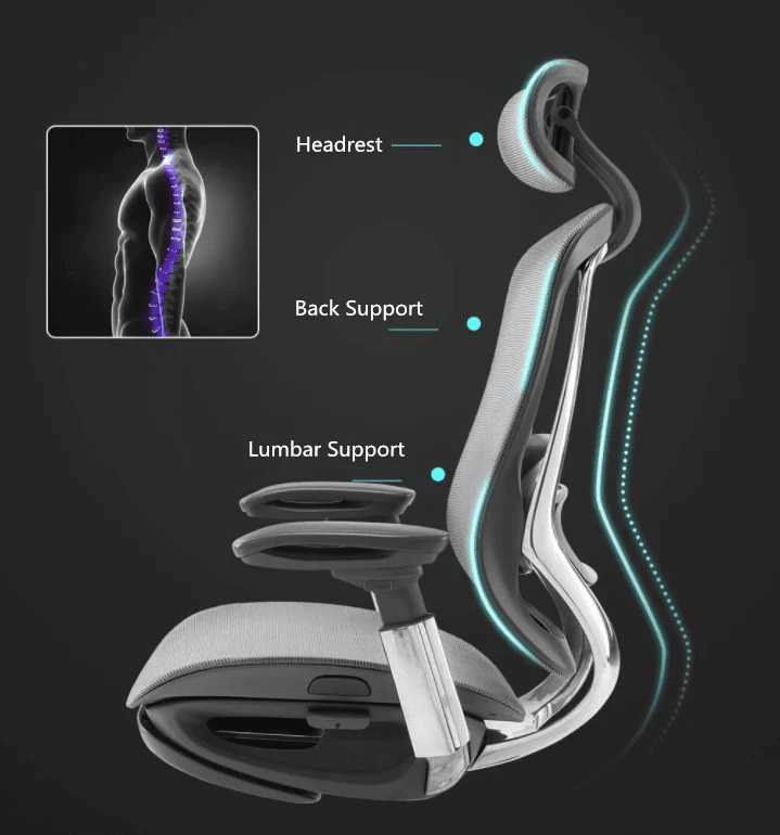 CeliniChair Executive Mesh Ergonomic Office Chair by EFFDESK - Black by Level Up Desks