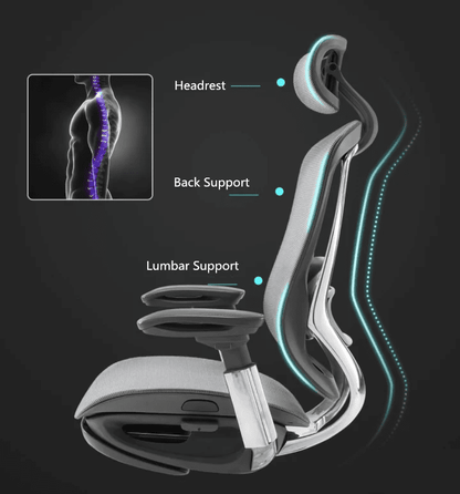 CeliniChair Executive Mesh Ergonomic Office Chair by EFFDESK - Black by Level Up Desks