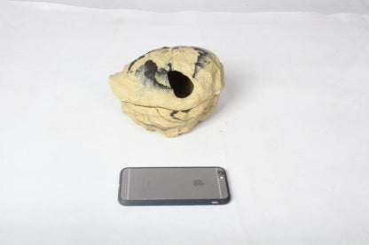 Rock Hideaway: The Ultimate Reptile Sanctuary by Dog Hugs Cat