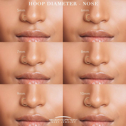 20G Double Row Micro Gem Implant Grade Titanium Hinged Double Hoop Nose Ring