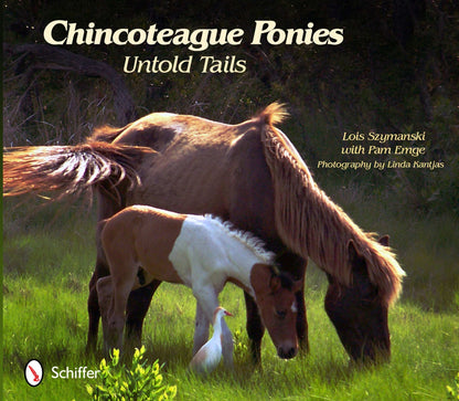 Chincoteague Ponies by Schiffer Publishing