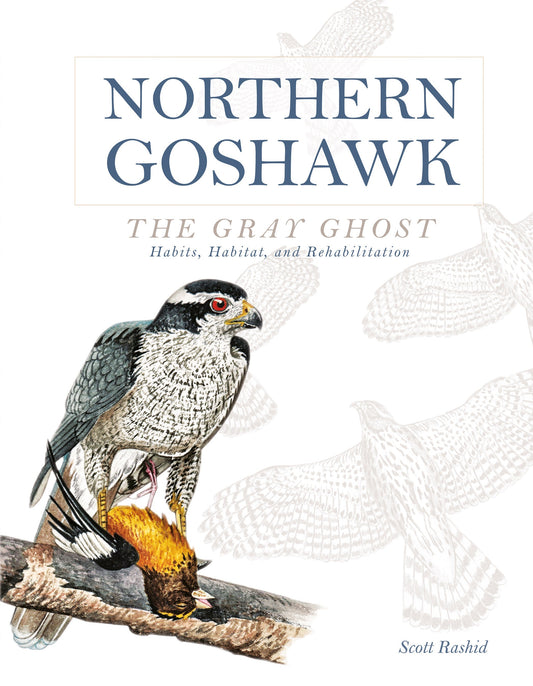 Northern Goshawk, the Gray Ghost by Schiffer Publishing