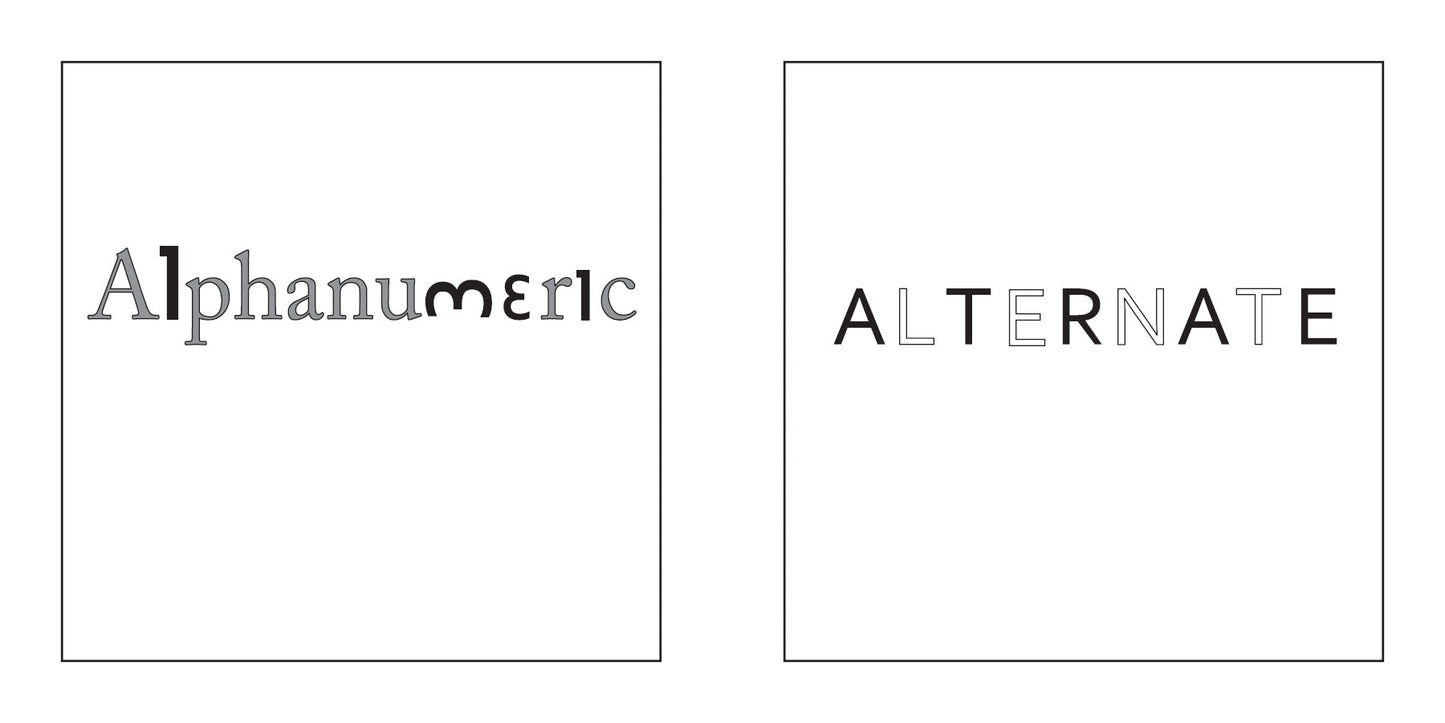 Words in Action by Schiffer Publishing