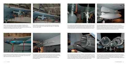 F-15 Eagle by Schiffer Publishing