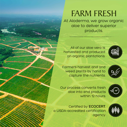 ALODERMA Pure Aloe Vera Gel + Tea Tree Oil by AloeCure