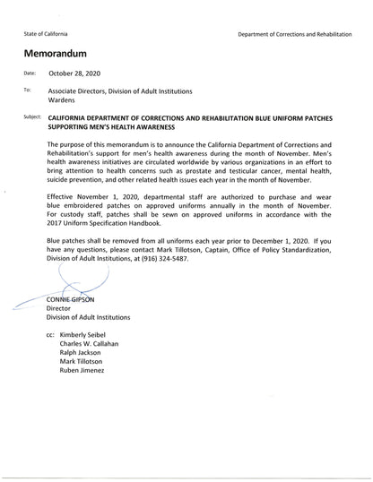 CDCR Blue Ribbon <br> Arm Patch by Custom Pins & Buckles