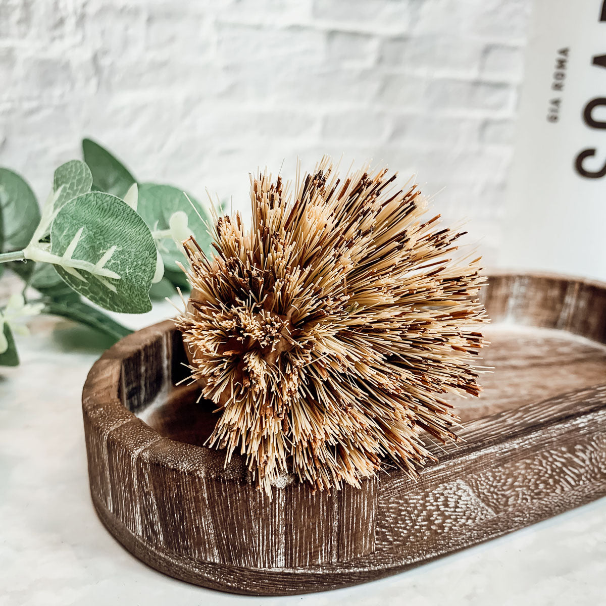 Natural Sisal Brush by Gia Roma