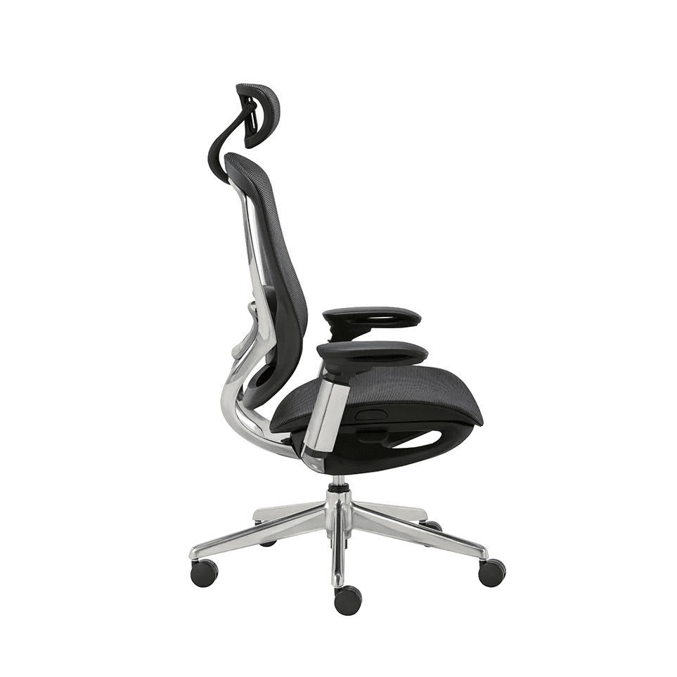 CeliniChair Executive Mesh Ergonomic Office Chair by EFFDESK - Black by Level Up Desks
