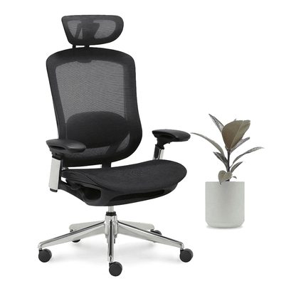 CeliniChair Executive Mesh Ergonomic Office Chair by EFFDESK - Black by Level Up Desks