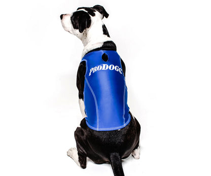 PRODOGG™ Anti-Anxiety Compression Shirt - Large to 2XL 159101B by InstantFigure INC